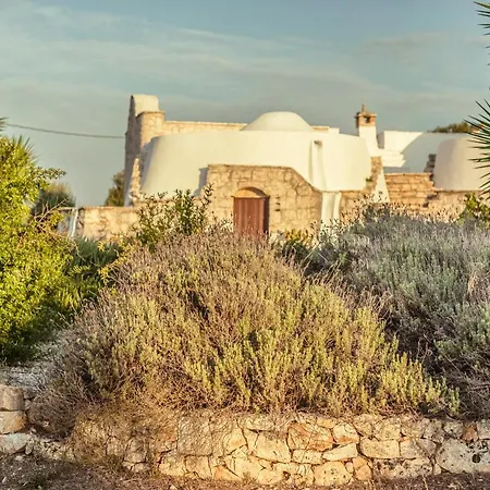 - Casa Sofia *